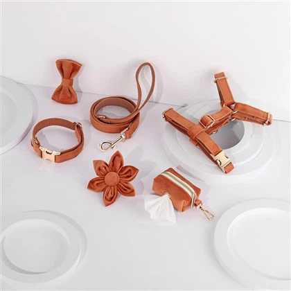 Набір карамельних нашийників для собак